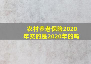 农村养老保险2020年交的是2020年的吗