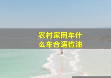 农村家用车什么车合适省油