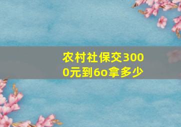 农村社保交3000元到6o拿多少