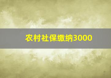 农村社保缴纳3000