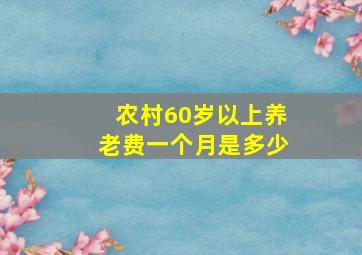 农村60岁以上养老费一个月是多少