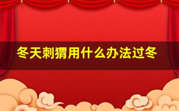 冬天刺猬用什么办法过冬