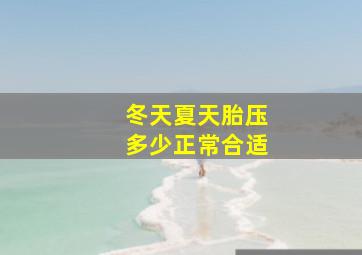 冬天夏天胎压多少正常合适