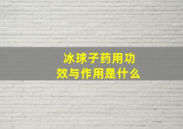 冰球子药用功效与作用是什么