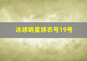 冰球明星球衣号19号