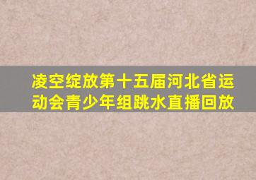 凌空绽放第十五届河北省运动会青少年组跳水直播回放