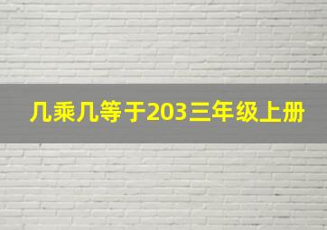 几乘几等于203三年级上册