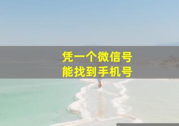 凭一个微信号能找到手机号