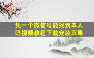 凭一个微信号能找到本人吗视频教程下载安装苹果