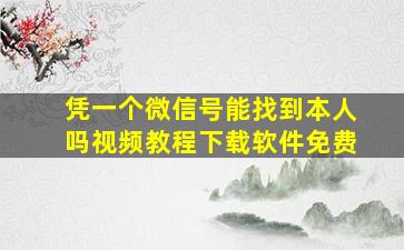 凭一个微信号能找到本人吗视频教程下载软件免费