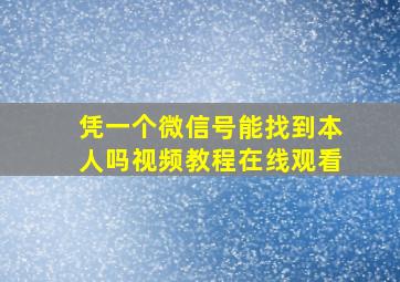 凭一个微信号能找到本人吗视频教程在线观看