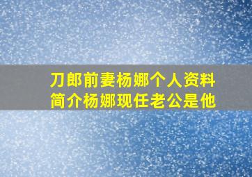 刀郎前妻杨娜个人资料简介杨娜现任老公是他