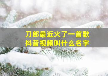 刀郎最近火了一首歌抖音视频叫什么名字