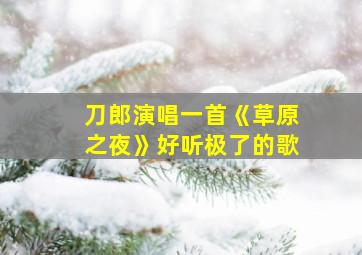 刀郎演唱一首《草原之夜》好听极了的歌