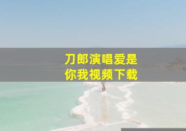 刀郎演唱爱是你我视频下载