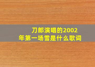 刀郎演唱的2002年第一场雪是什么歌词