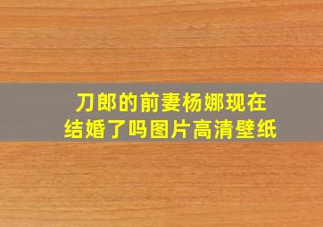 刀郎的前妻杨娜现在结婚了吗图片高清壁纸