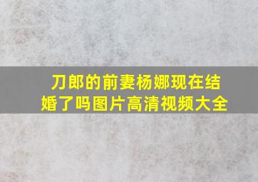 刀郎的前妻杨娜现在结婚了吗图片高清视频大全