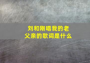 刘和刚唱我的老父亲的歌词是什么