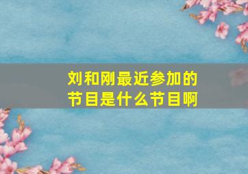 刘和刚最近参加的节目是什么节目啊