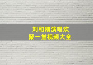 刘和刚演唱欢聚一堂视频大全