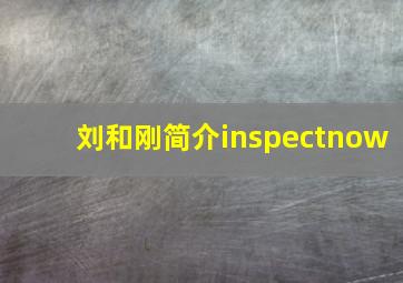 刘和刚简介inspectnow