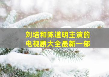 刘培和陈道明主演的电视剧大全最新一部