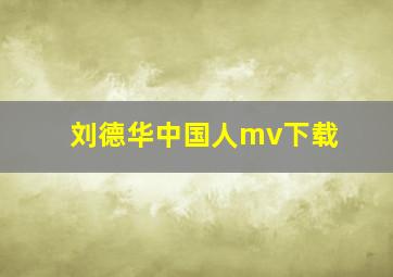 刘德华中国人mv下载