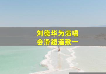 刘德华为演唱会滑跪道歉一