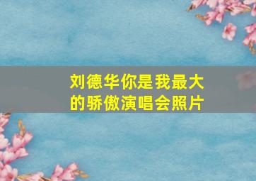 刘德华你是我最大的骄傲演唱会照片