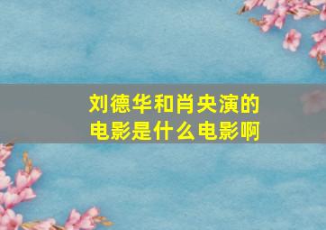 刘德华和肖央演的电影是什么电影啊