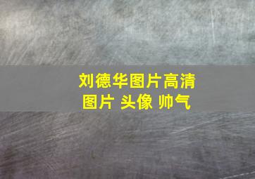 刘德华图片高清图片 头像 帅气