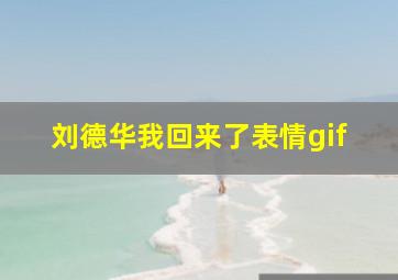 刘德华我回来了表情gif