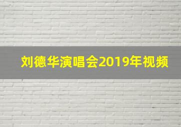 刘德华演唱会2019年视频