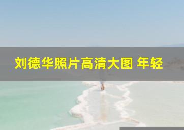 刘德华照片高清大图 年轻