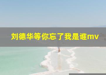 刘德华等你忘了我是谁mv