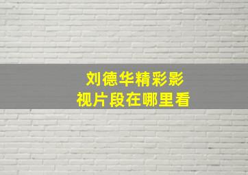 刘德华精彩影视片段在哪里看