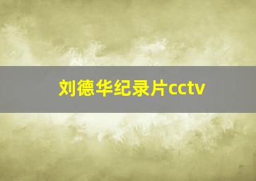 刘德华纪录片cctv