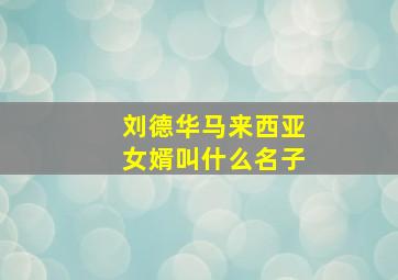 刘德华马来西亚女婿叫什么名子