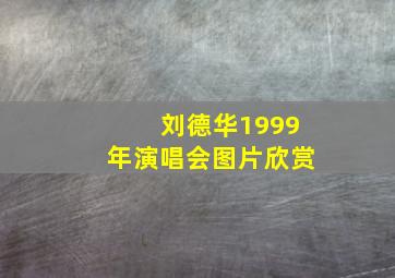 刘德华1999年演唱会图片欣赏