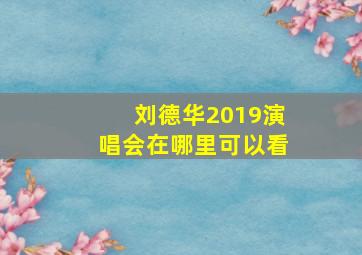 刘德华2019演唱会在哪里可以看