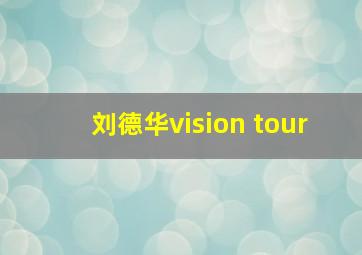 刘德华vision tour