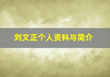 刘文正个人资料与简介