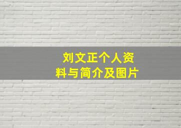 刘文正个人资料与简介及图片