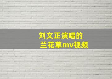 刘文正演唱的兰花草mv视频