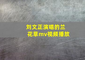 刘文正演唱的兰花草mv视频播放