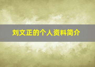 刘文正的个人资料简介