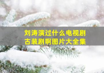 刘涛演过什么电视剧古装剧啊图片大全集