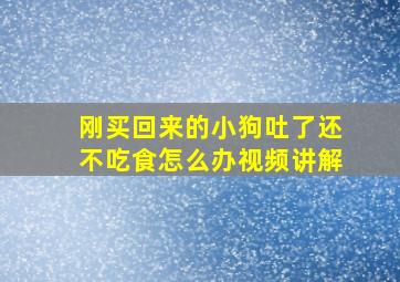 刚买回来的小狗吐了还不吃食怎么办视频讲解