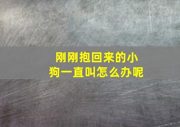 刚刚抱回来的小狗一直叫怎么办呢